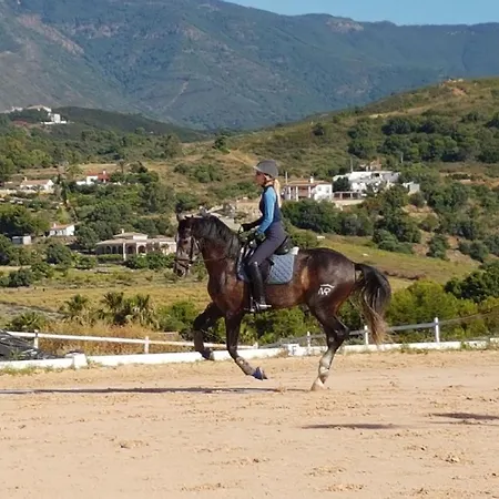 Bed & Breakfast Les Chevaux De Coeur Estepona