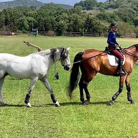 Les Chevaux De Coeur Bed & Breakfast Estepona
